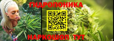 спиды Ливны