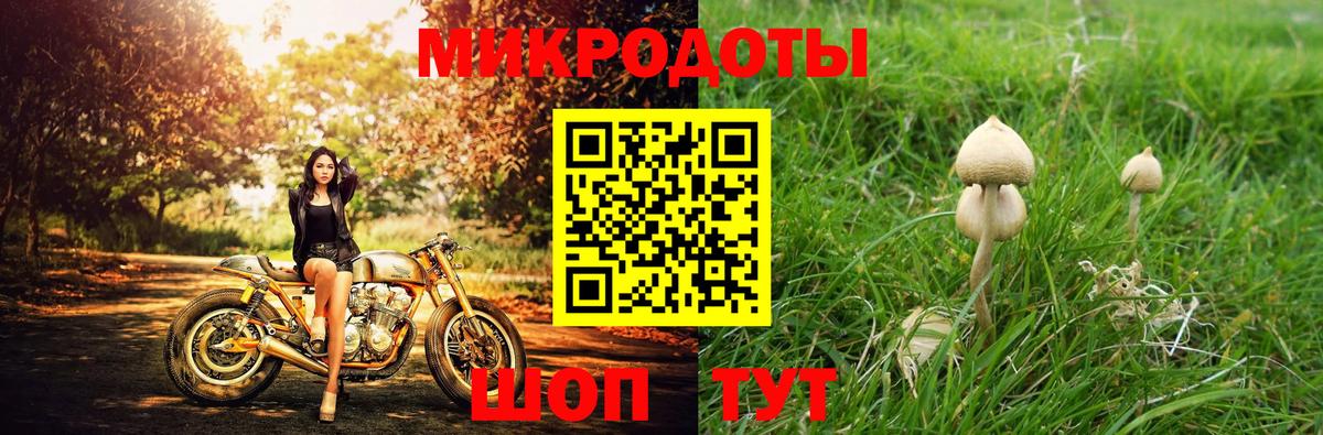 Псилоцибиновые грибы GOLDEN TEACHER  Вход с VPN  Гатчина  Псилоцибиновые грибы мухоморы 