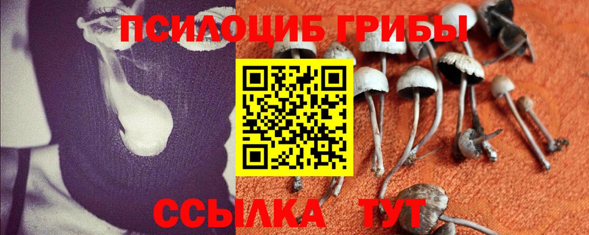 Псилоцибиновые грибы GOLDEN TEACHER Гатчина